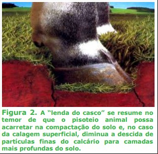 Figura 2 - Artigo Amanda Posselt