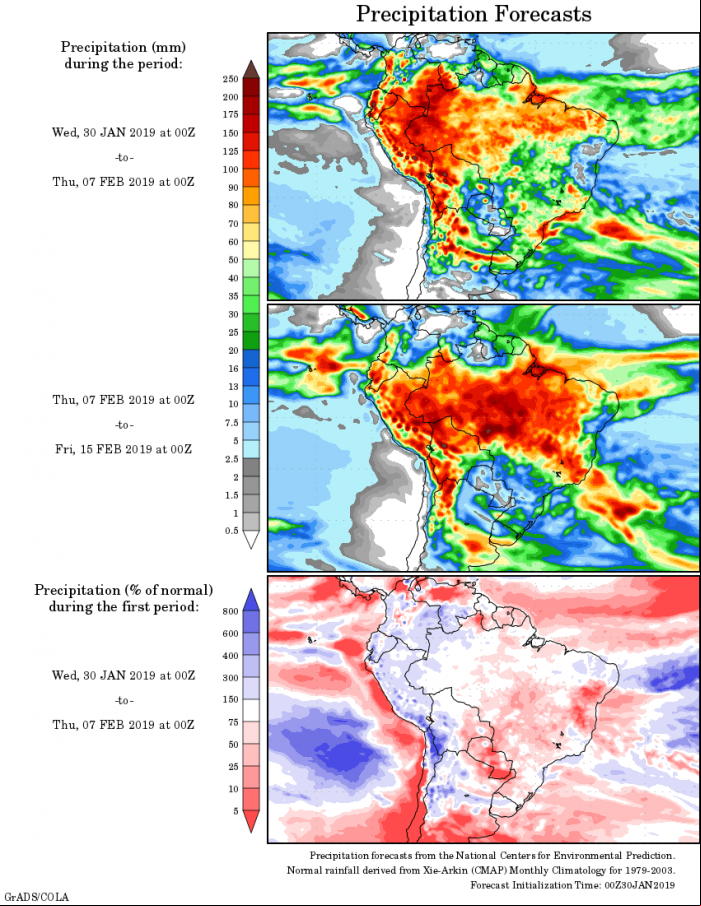 Mapa com a tendência de precipitação acumulada para o período de 30 de janeiro até 15 de fevereiro - Fonte: National Centers for Environmental Prediction/NOAA