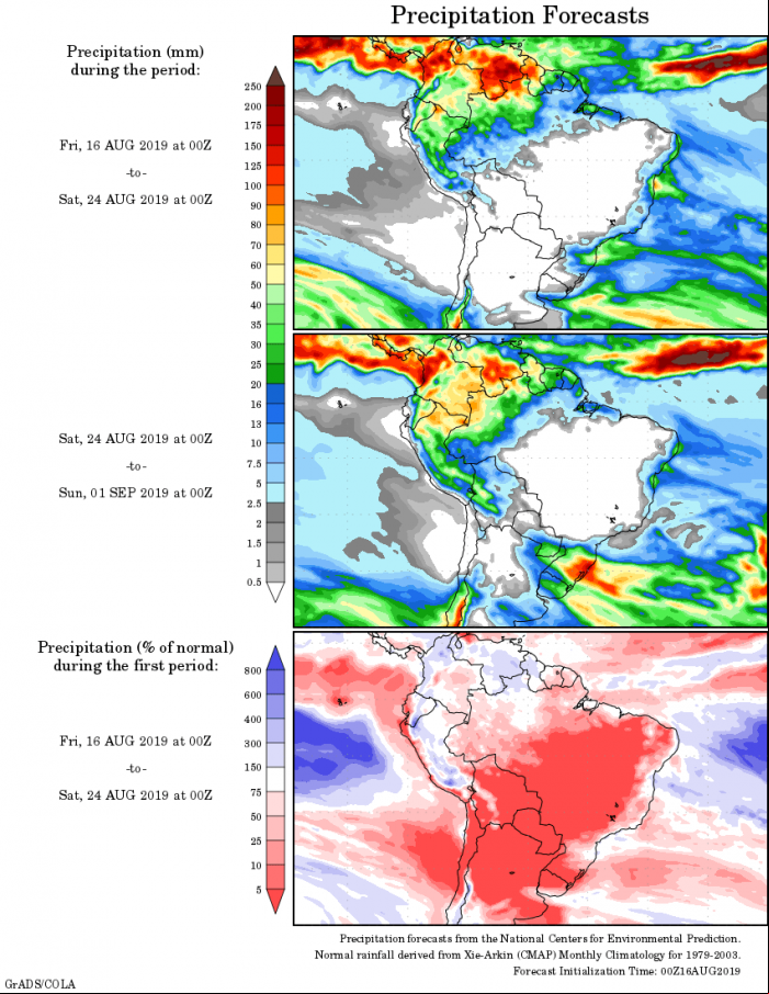 Mapa com a tendência de precipitação acumulada para o período de 16 de agosto até 01 de setembro - Fonte: National Centers for Environmental Prediction/NOAA